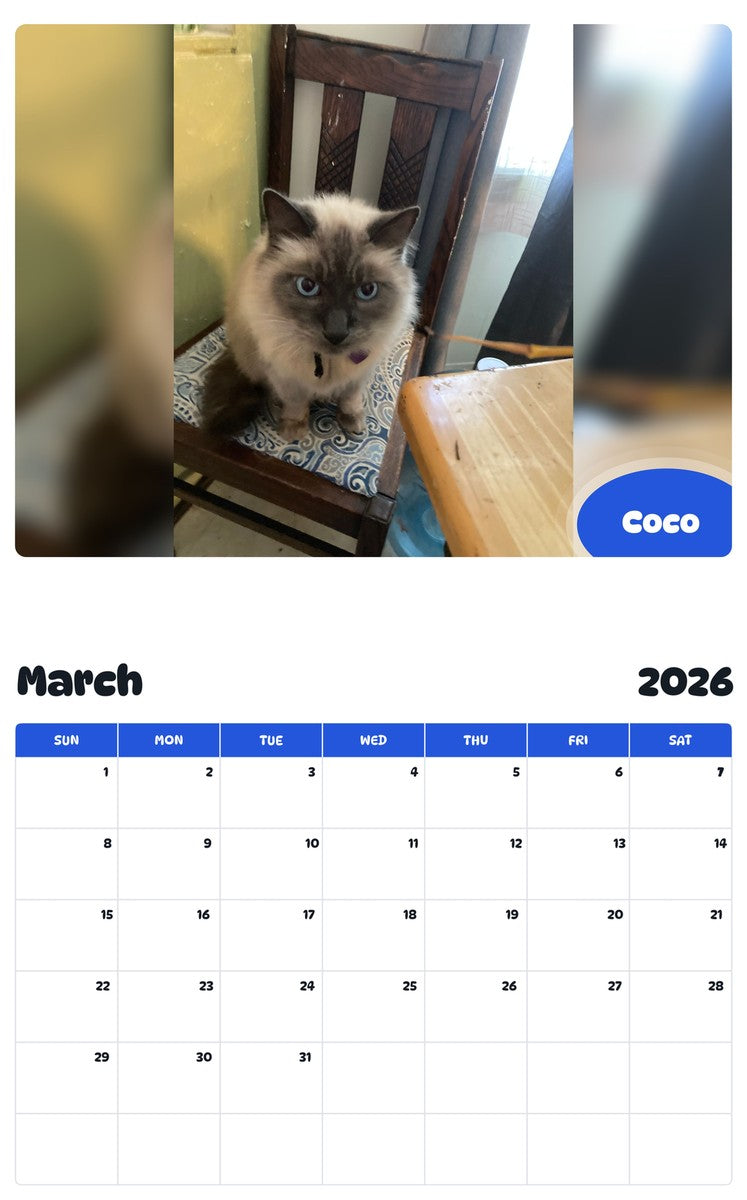 November 2025 - October 2026 Coco - Pawidols Pet Calendar
