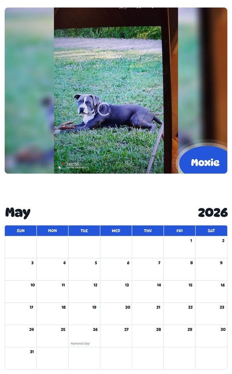 2026 - 2027 Moxie - Pawidols Pet Calendar