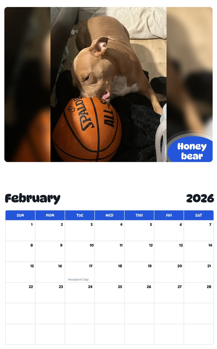 October 2025 - September 2026 Honey bear - Pawidols Pet Calendar