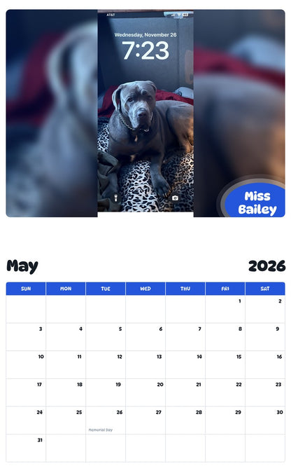 2026 - 2027 Miss Bailey - Pawidols Pet Calendar