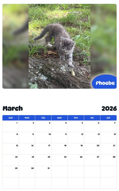 November 2025 - October 2026 Phoebe - Pawidols Pet Calendar
