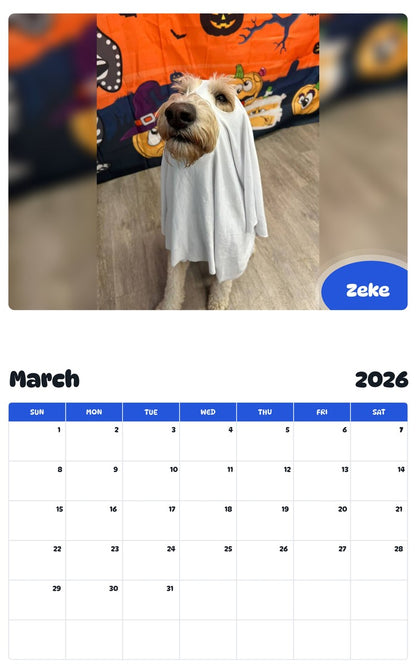 November 2025 - October 2026 Zeke - Pawidols Pet Calendar