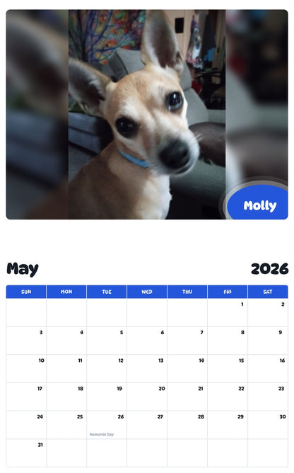 2026 - 2027 Molly - Pawidols Pet Calendar