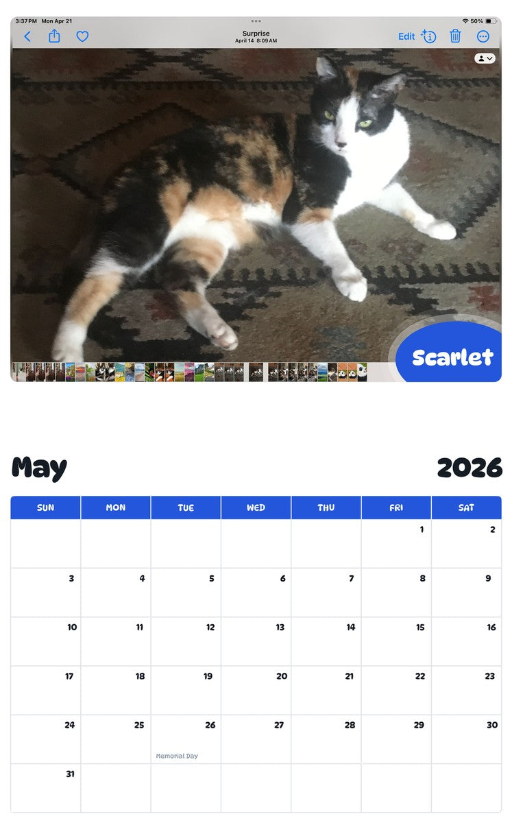 2026 - 2027 Scarlet - Pawidols Pet Calendar