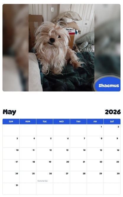 2026 - 2027 Shaemus - Pawidols Pet Calendar