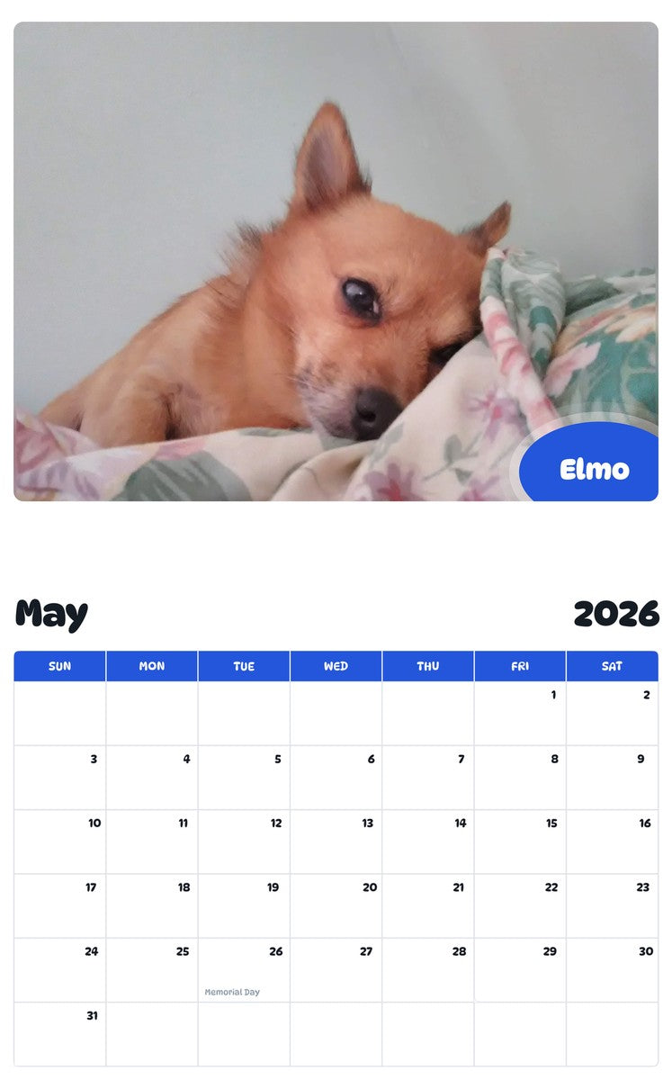 2026 - 2027 Elmo - Pawidols Pet Calendar