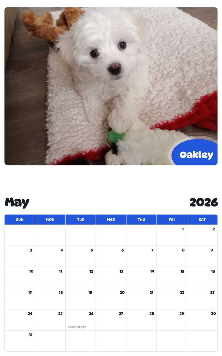 2026 - 2027 Oakley - Pawidols Pet Calendar