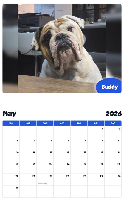 2026 - 2027 Buddy - Pawidols Pet Calendar
