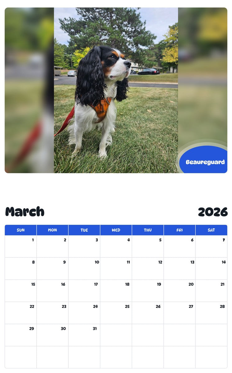 November 2025 - October 2026 Beaureguard - Pawidols Pet Calendar