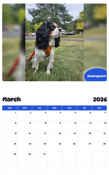 November 2025 - October 2026 Beaureguard - Pawidols Pet Calendar
