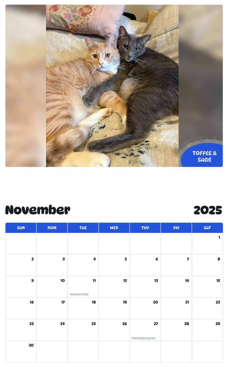 July 2025 - June 2026 Toffee&Sage - Pawidols Pet Calendar