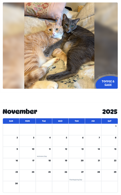 July 2025 - June 2026 Toffee&Sage - Pawidols Pet Calendar