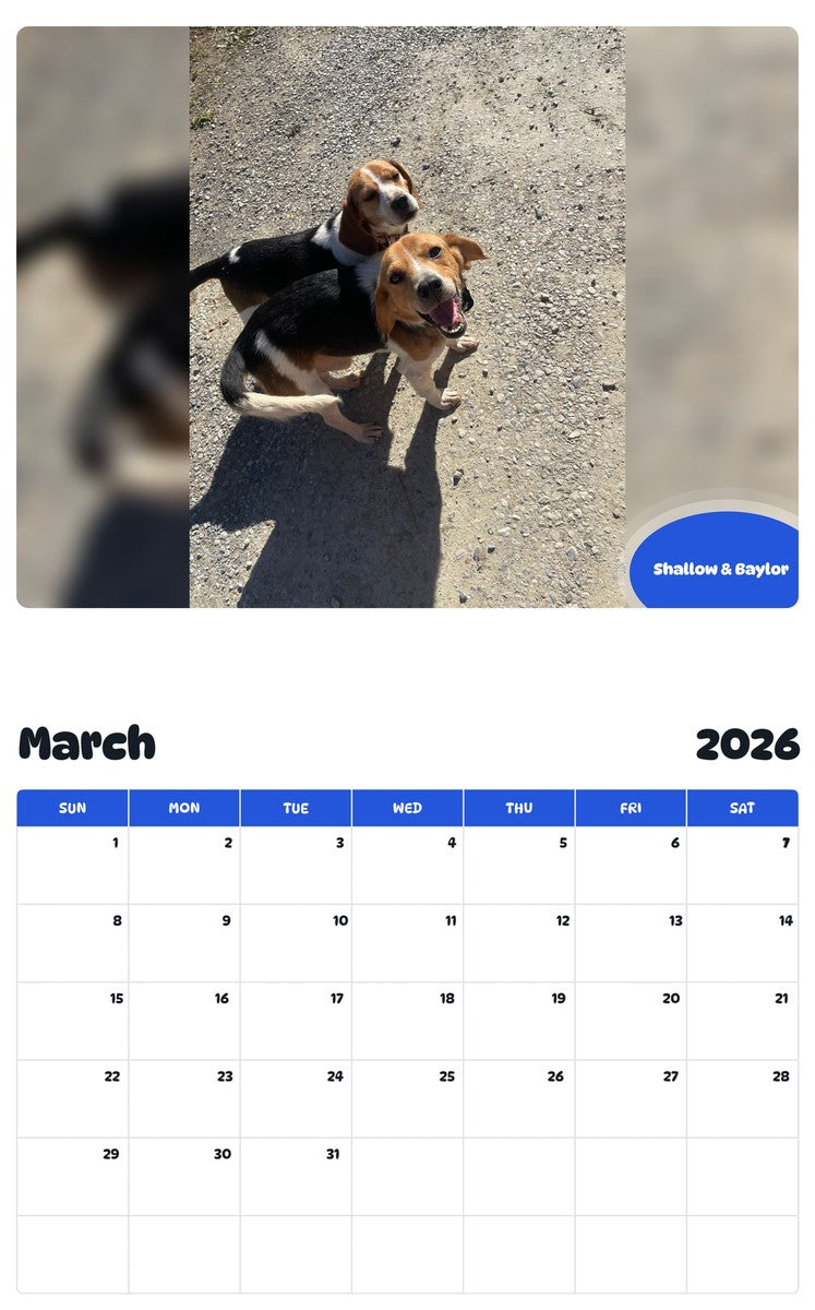 November 2025 - October 2026 Shallow & Baylor - Pawidols Pet Calendar
