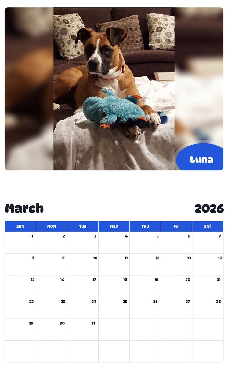 November 2025 - October 2026 Luna - Pawidols Pet Calendar