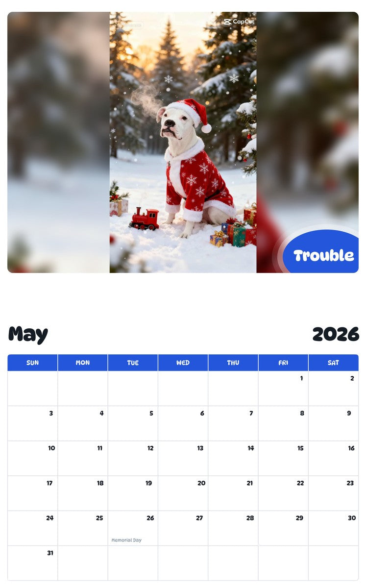 2026 - 2027 Trouble - Pawidols Pet Calendar