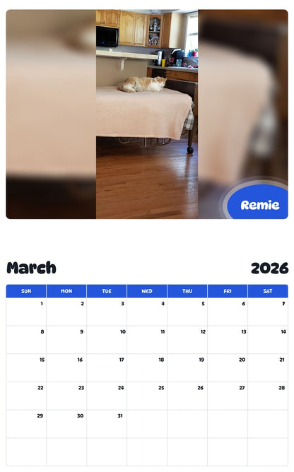 November 2025 - October 2026 Remie - Pawidols Pet Calendar