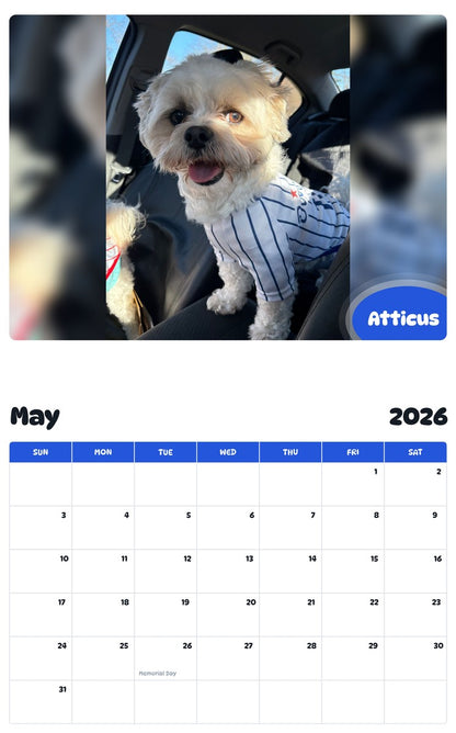 2026 - 2027 Atticus - Pawidols Pet Calendar