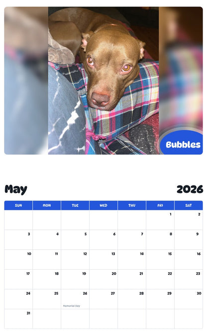 2026 - 2027 Bubbles - Pawidols Pet Calendar
