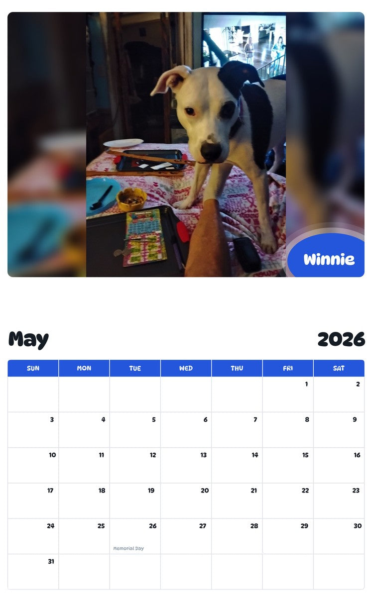 2026 - 2027 Winnie - Pawidols Pet Calendar
