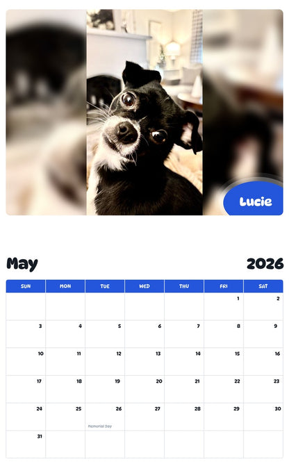 2026 - 2027 Lucie - Pawidols Pet Calendar