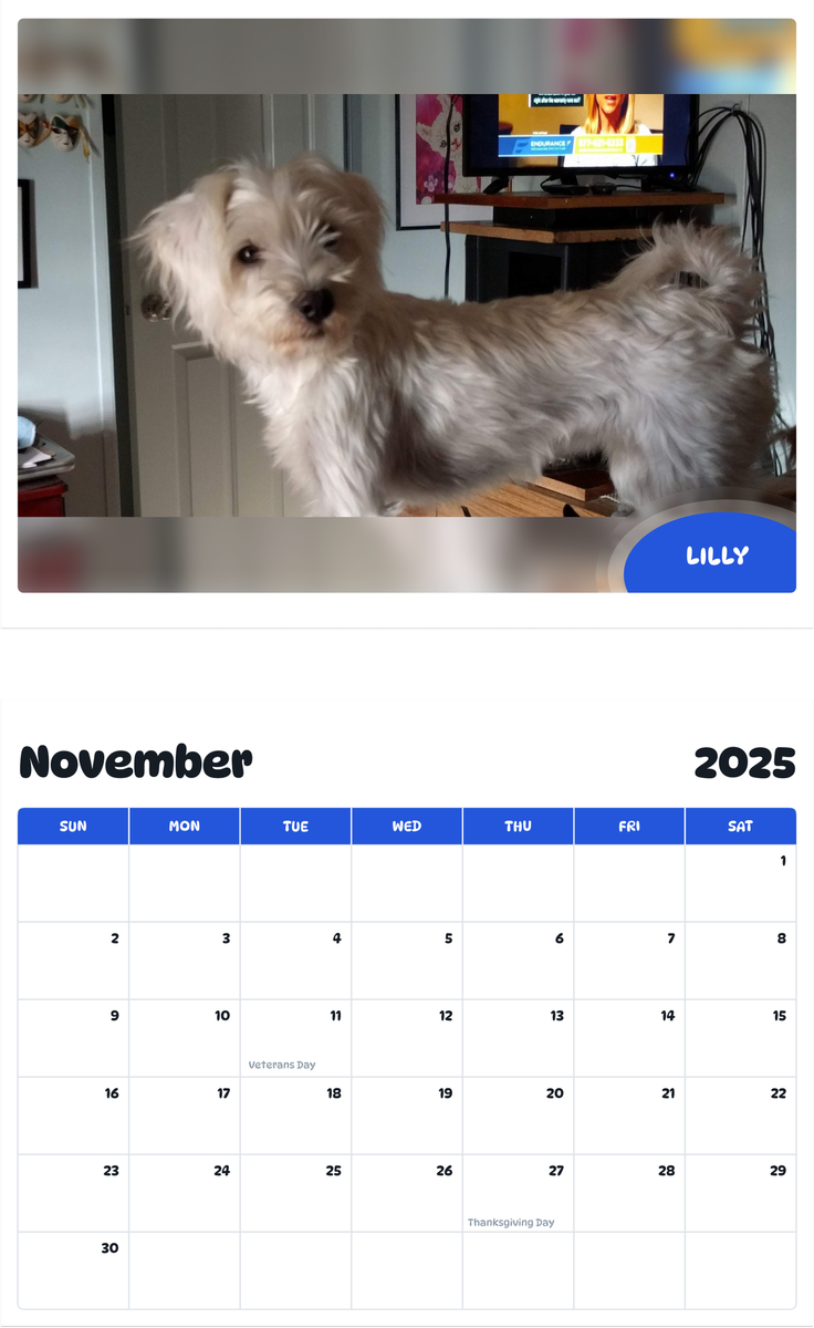 July 2025 - June 2026 Lilly - Pawidols Pet Calendar