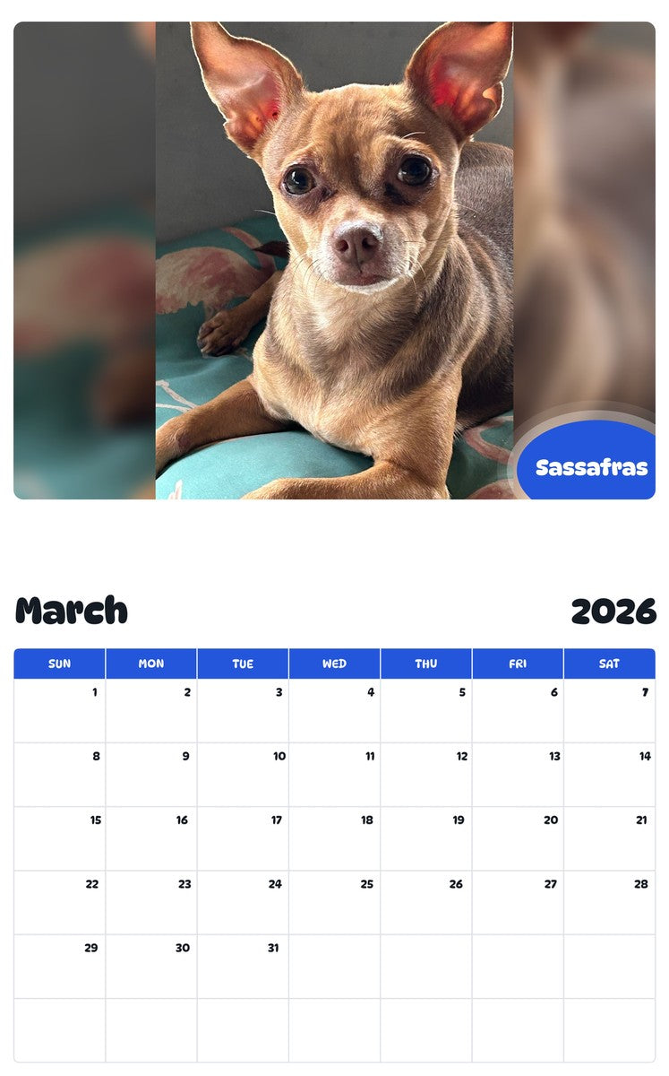 November 2025 - October 2026 Sassafras - Pawidols Pet Calendar