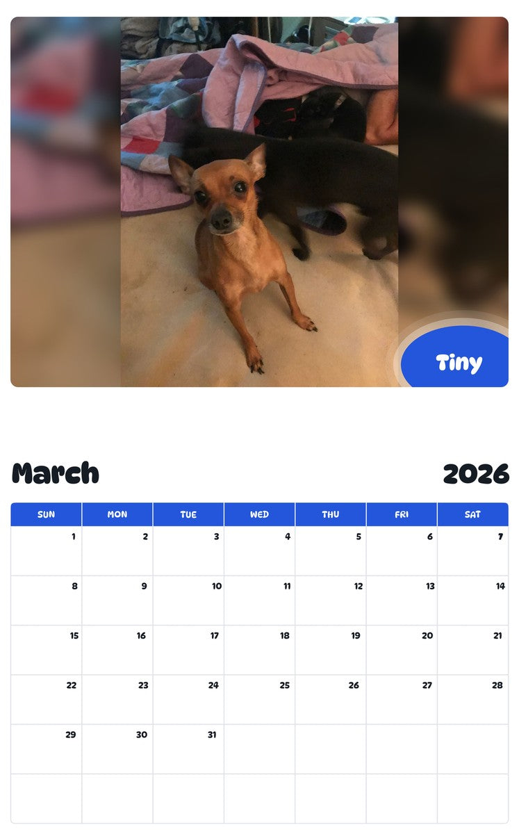 November 2025 - October 2026 Tiny - Pawidols Pet Calendar