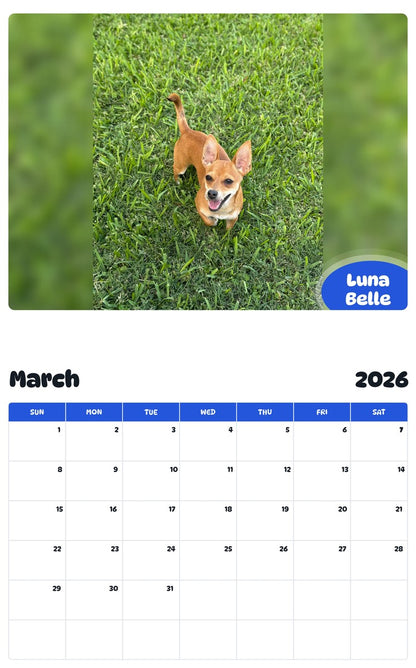 November 2025 - October 2026 Luna Belle - Pawidols Pet Calendar
