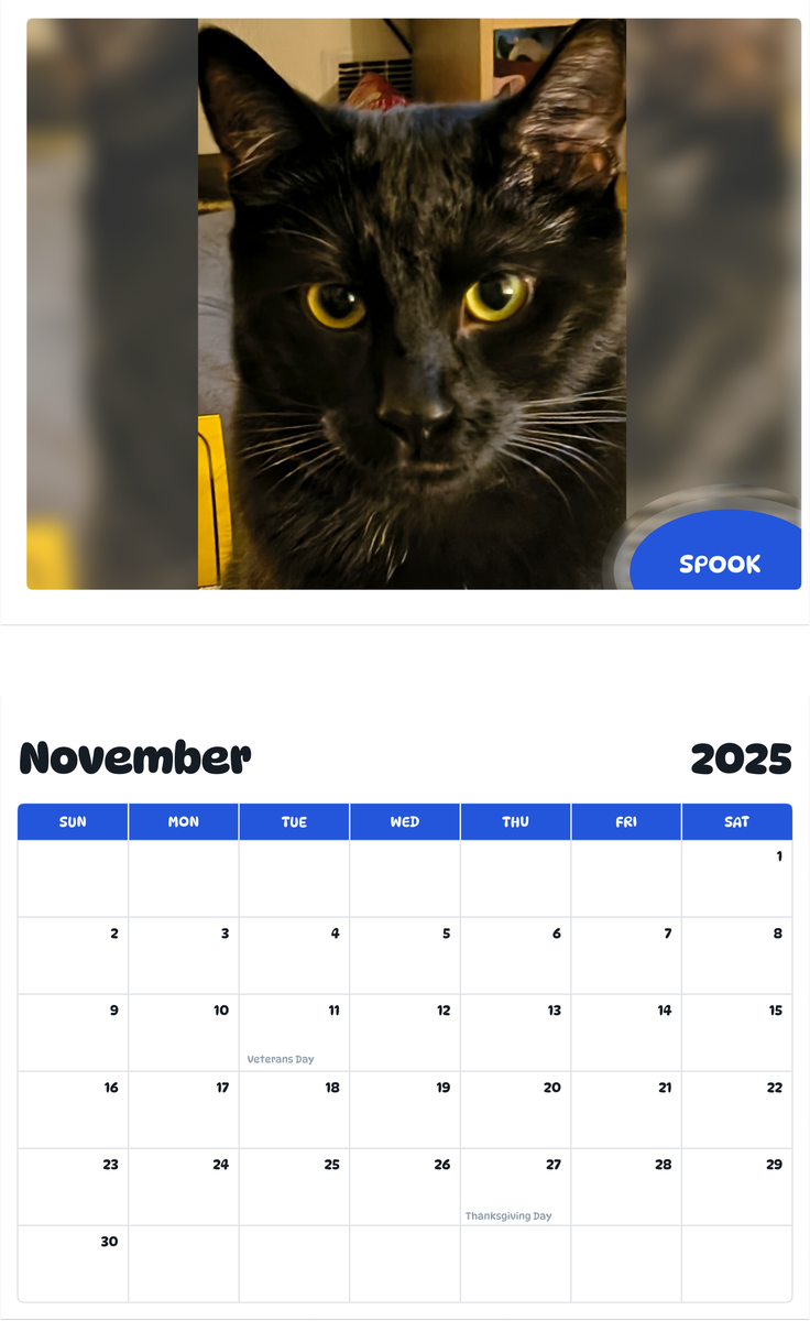 July 2025 - June 2026 Spook - Pawidols Pet Calendar