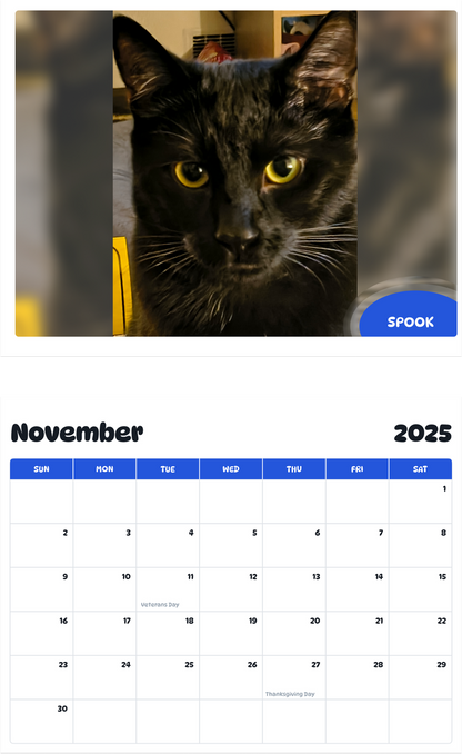 July 2025 - June 2026 Spook - Pawidols Pet Calendar