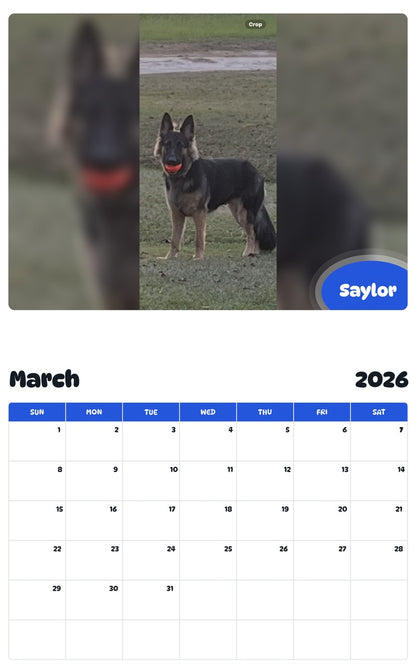 November 2025 - October 2026 Saylor - Pawidols Pet Calendar