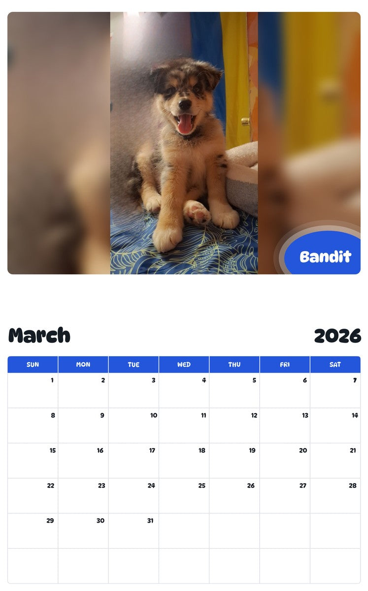 November 2025 - October 2026 Bandit - Pawidols Pet Calendar