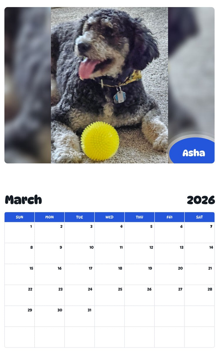 November 2025 - October 2026 Asha - Pawidols Pet Calendar