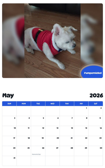 2026 - 2027 Pumpernickel - Pawidols Pet Calendar