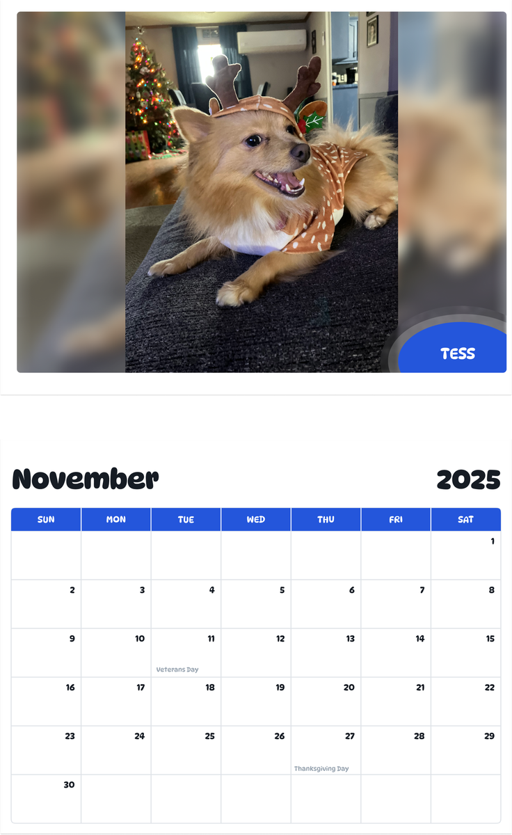 July 2025 - June 2026 Tess - Pawidols Pet Calendar