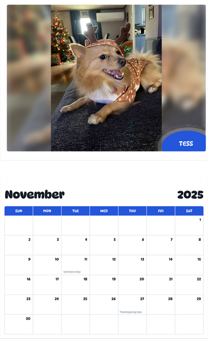 July 2025 - June 2026 Tess - Pawidols Pet Calendar