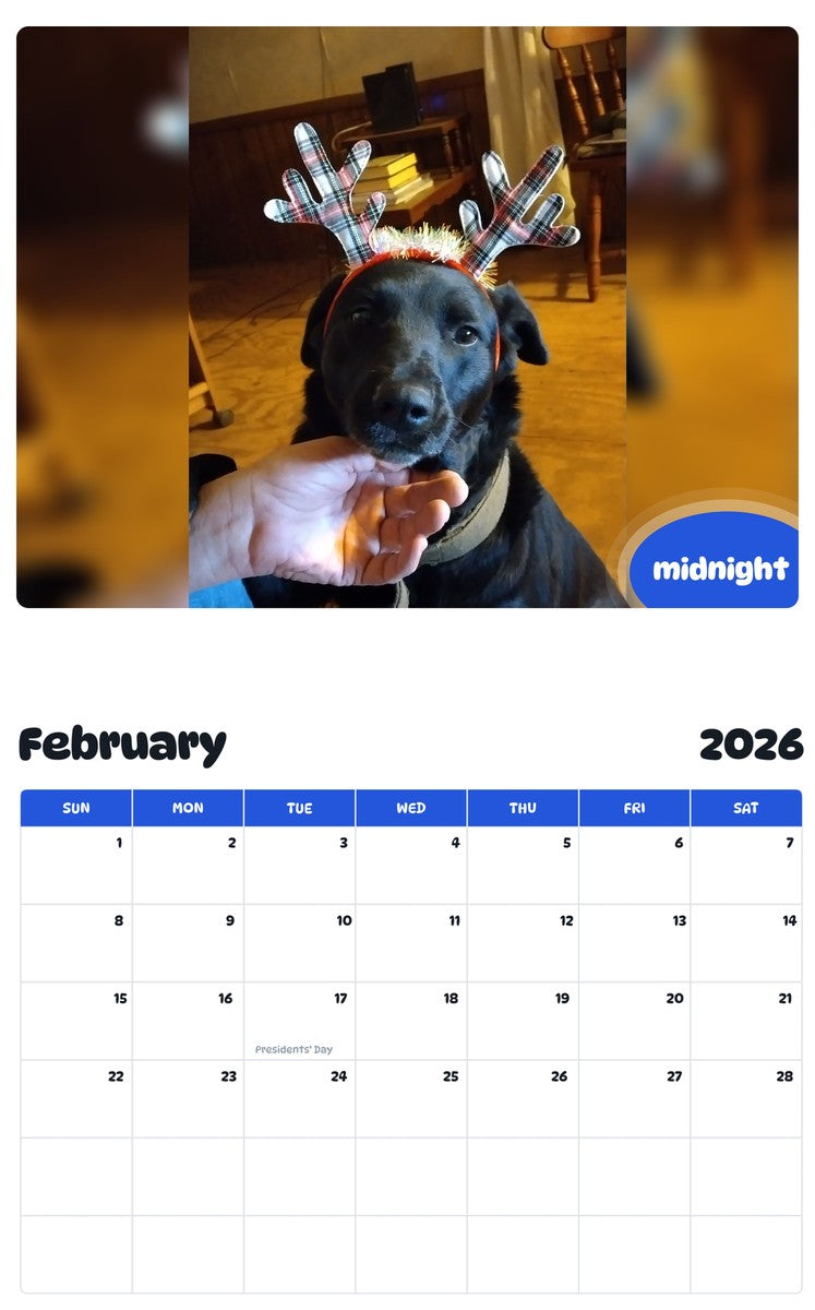 October 2025 - September 2026 midnight - Pawidols Pet Calendar