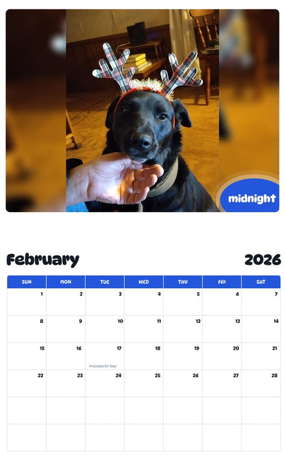 October 2025 - September 2026 midnight - Pawidols Pet Calendar