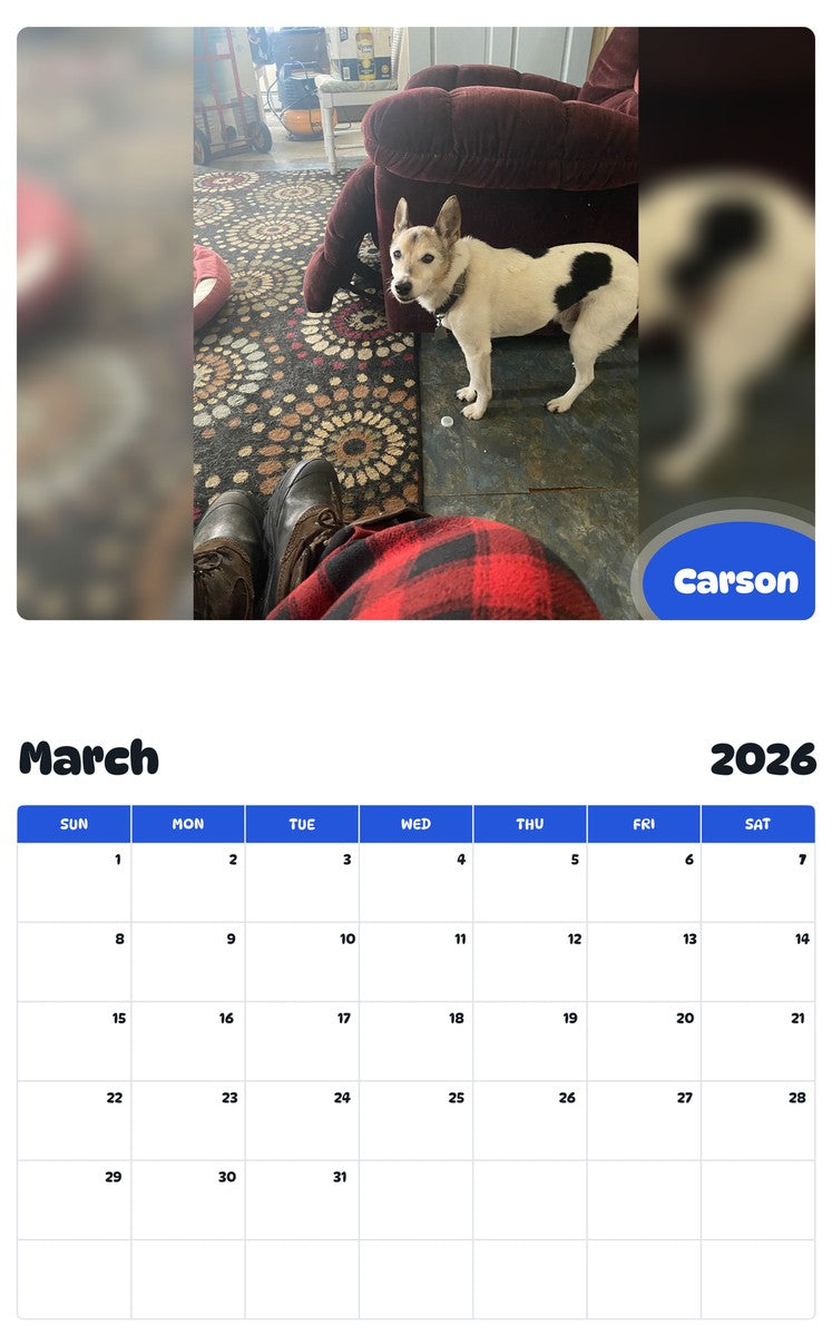 November 2025 - October 2026 Carson - Pawidols Pet Calendar