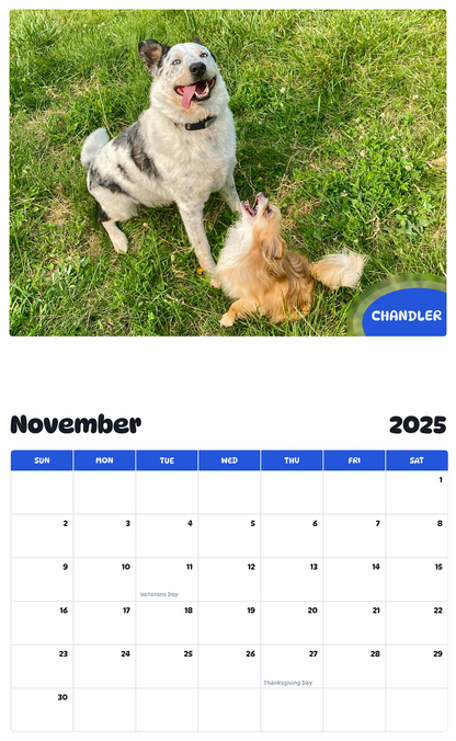 July 2025 - June 2026 Chandler - Pawidols Pet Calendar