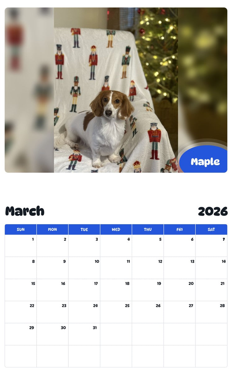November 2025 - October 2026 Maple - Pawidols Pet Calendar
