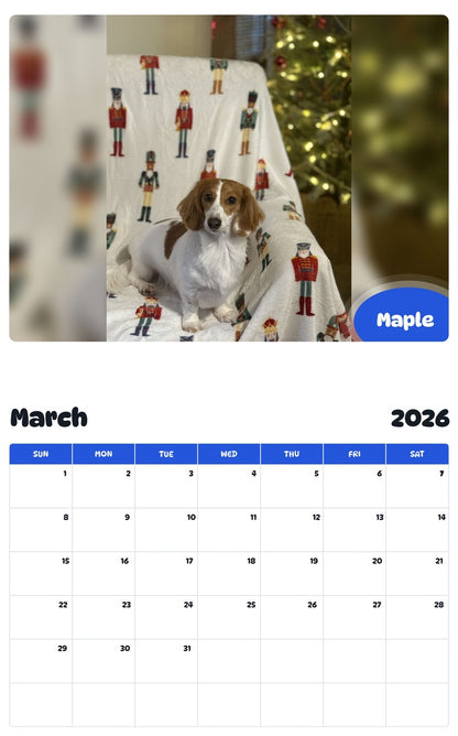 November 2025 - October 2026 Maple - Pawidols Pet Calendar