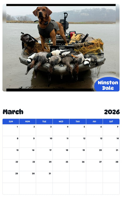 November 2025 - October 2026 Winston Dale - Pawidols Pet Calendar