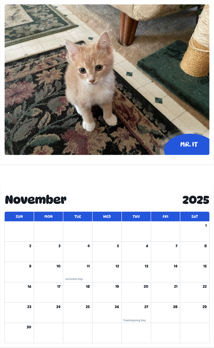 July 2025 - June 2026 Mr. It - Pawidols Pet Calendar