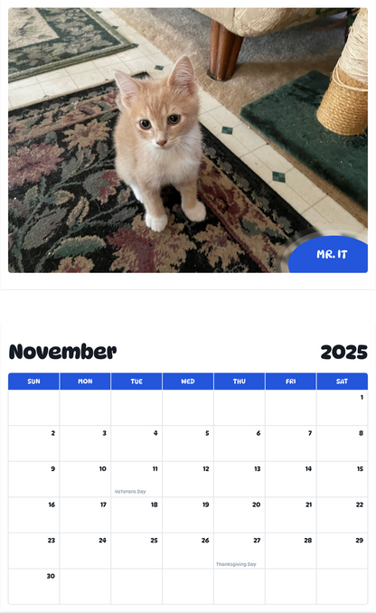 July 2025 - June 2026 Mr. It - Pawidols Pet Calendar