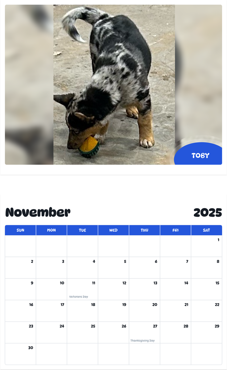 July 2025 - June 2026 Toby - Pawidols Pet Calendar