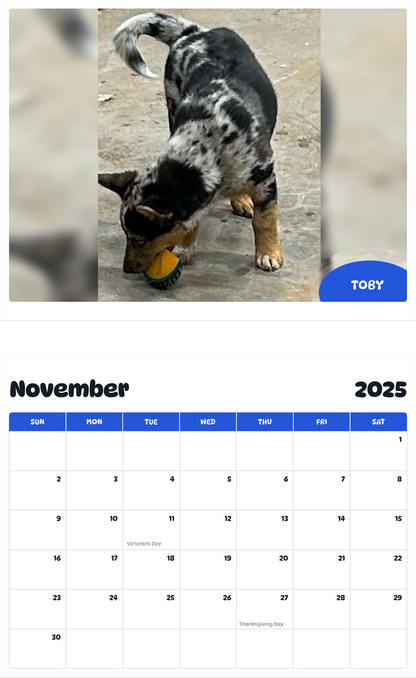 July 2025 - June 2026 Toby - Pawidols Pet Calendar