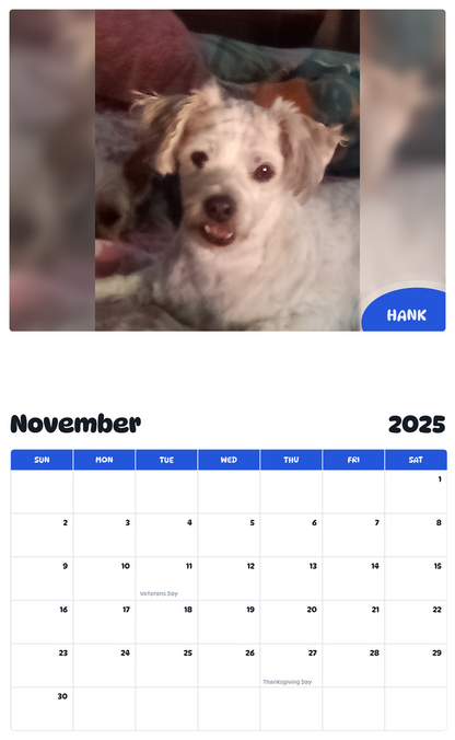 July 2025 - June 2026 Hank - Pawidols Pet Calendar
