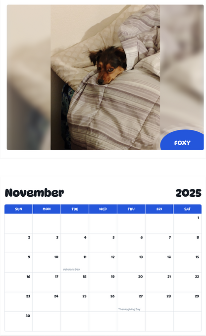 July 2025 - June 2026 Foxy - Pawidols Pet Calendar