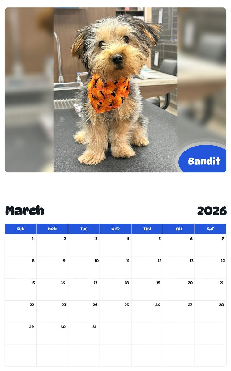 November 2025 - October 2026 Bandit - Pawidols Pet Calendar